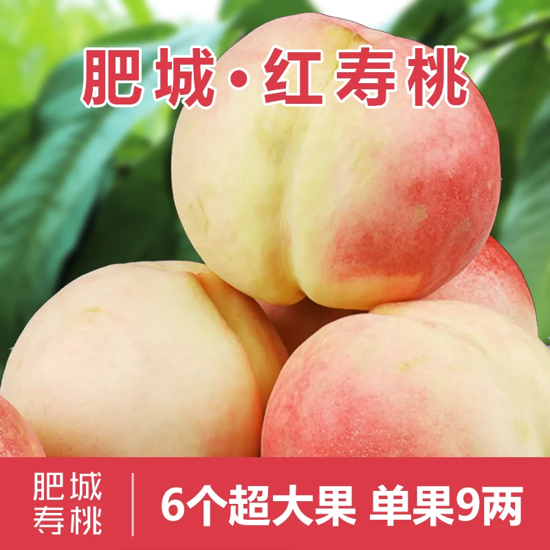 正宗肥城桃【红寿桃】6个超大果 单果9两 现摘现发 顺丰包邮
