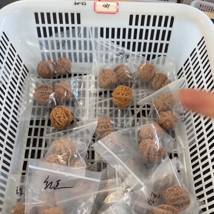 吊坠文玩核桃红豆