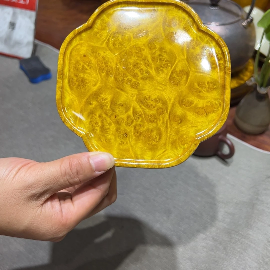 黄金樟88888888858888