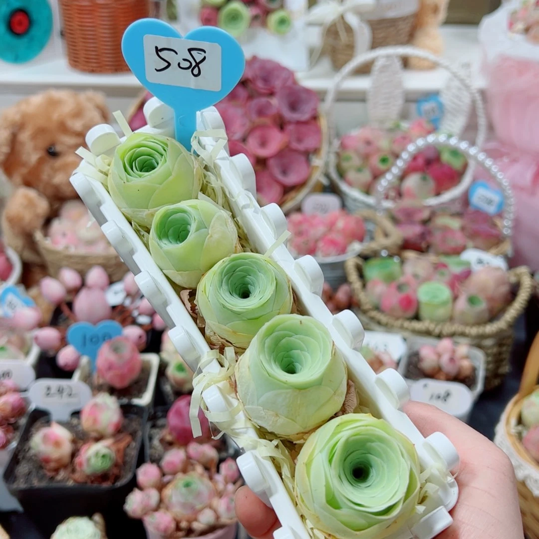 508黄玫瑰长型小组合。  一物一拍