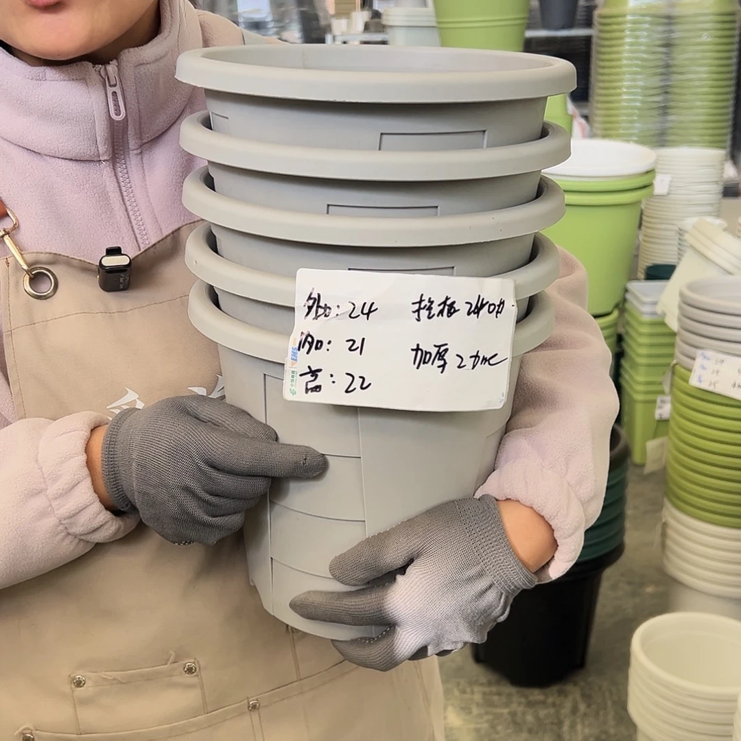 玫瑰240#灰白色5个无托