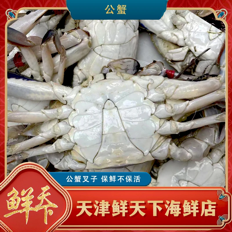 【保鲜不保活】大公蟹 一斤2-3只 单只3-5两 掉爪