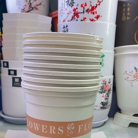 10带托盘米白色高1加仑