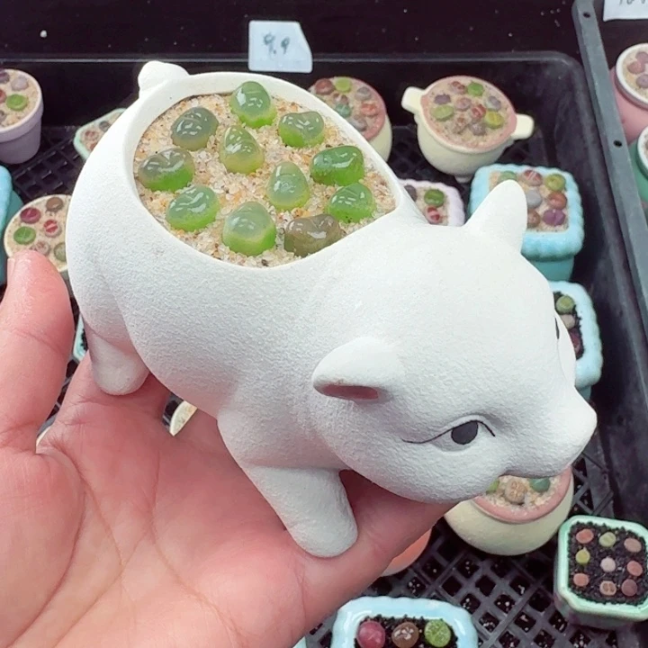 1015凑满18包邮零下地区记得拍保温箱