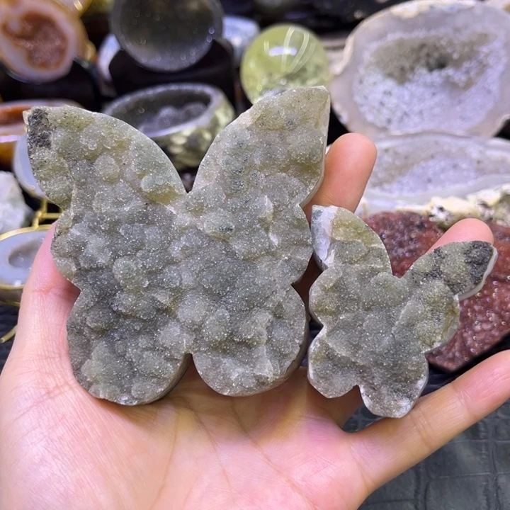 未镶嵌发饰水晶绿蝴蝶2️⃣
