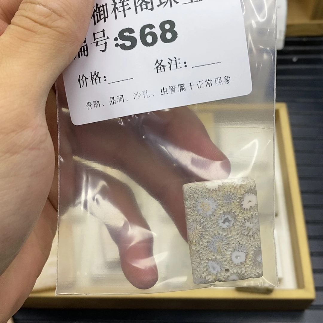 硅化珊瑚（珊瑚玉）未镶嵌颈饰焯*