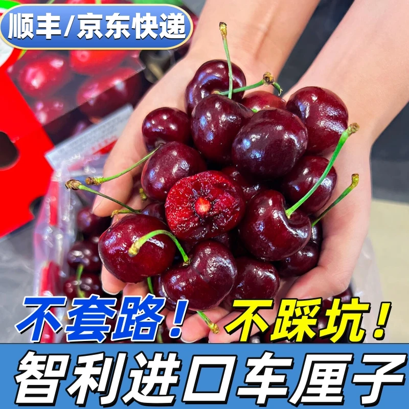 【4JD车厘子5斤原箱】顺丰京东空运进口智利桑提娜内附果径卡果然