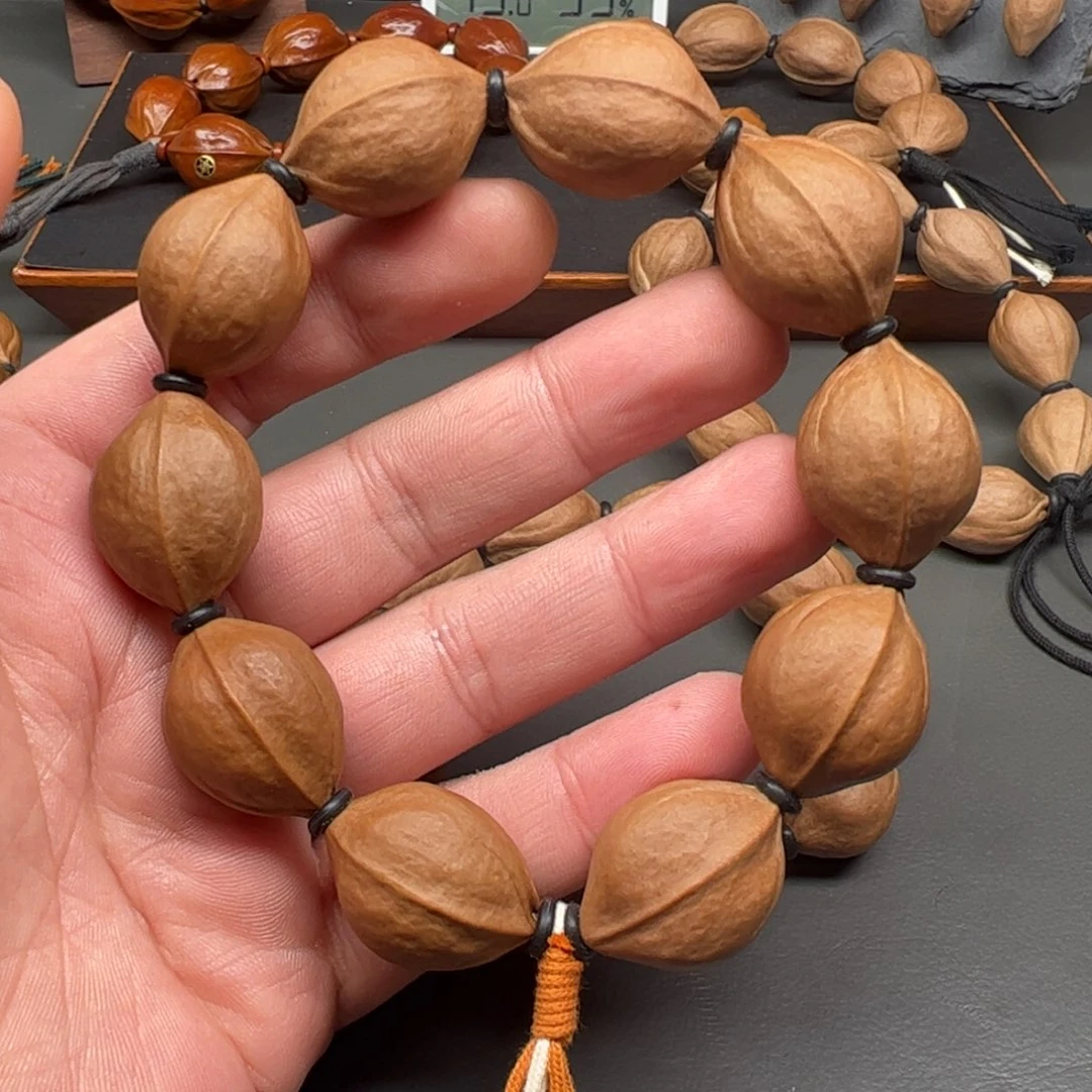 原生态2027头货梅林铁核