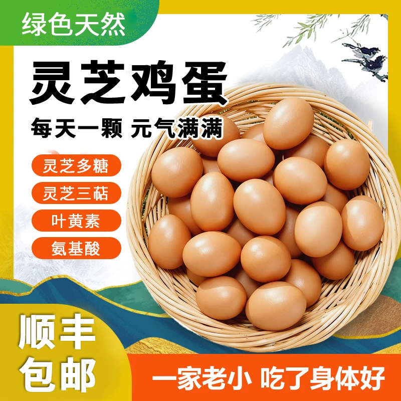 渭禾臻品灵芝鸡蛋-秦渭芝蛋