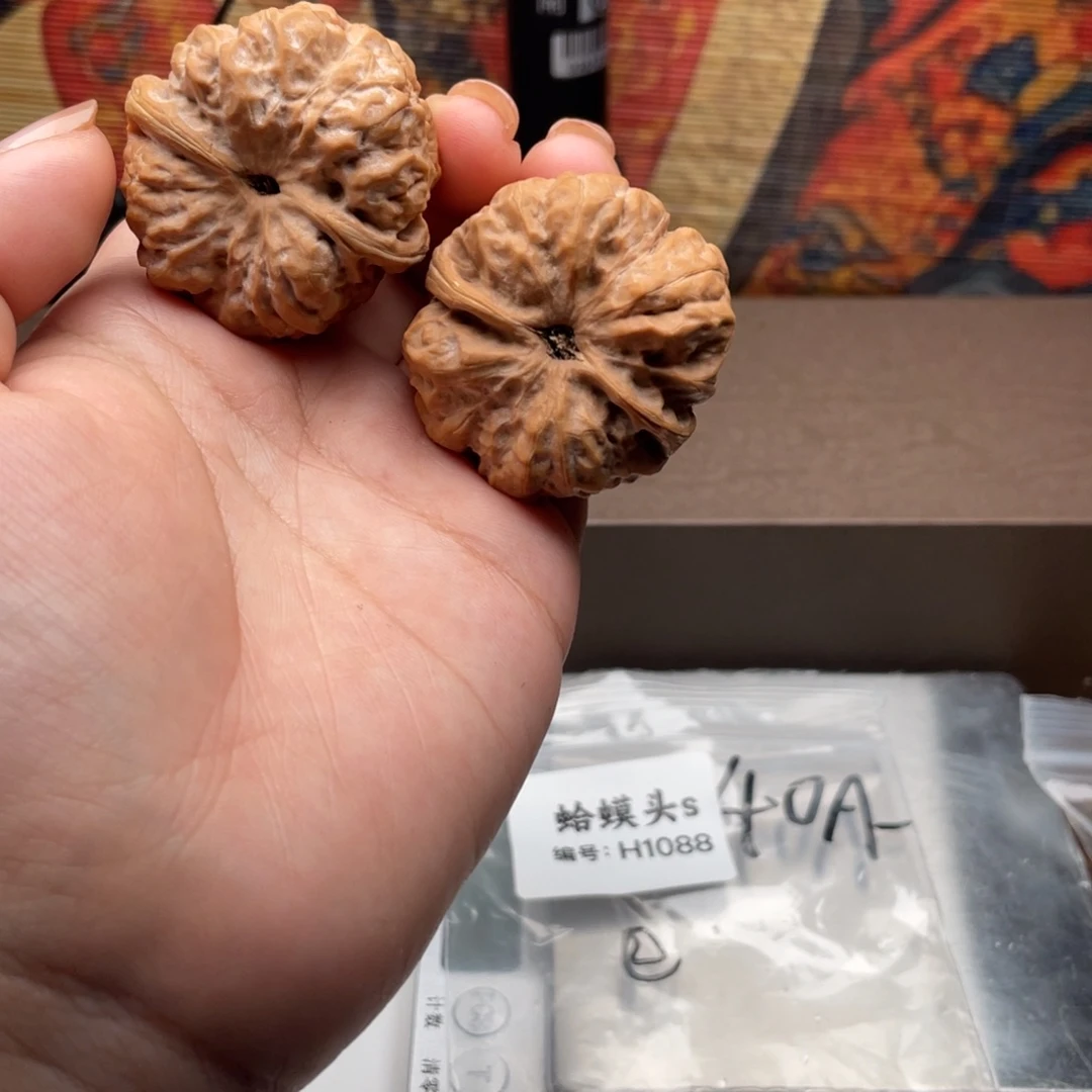 木质类1088蛙蛙蛙