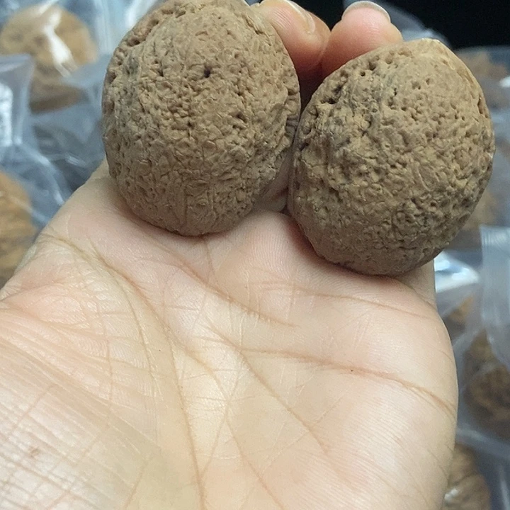 木质类云南铁核桃基地84