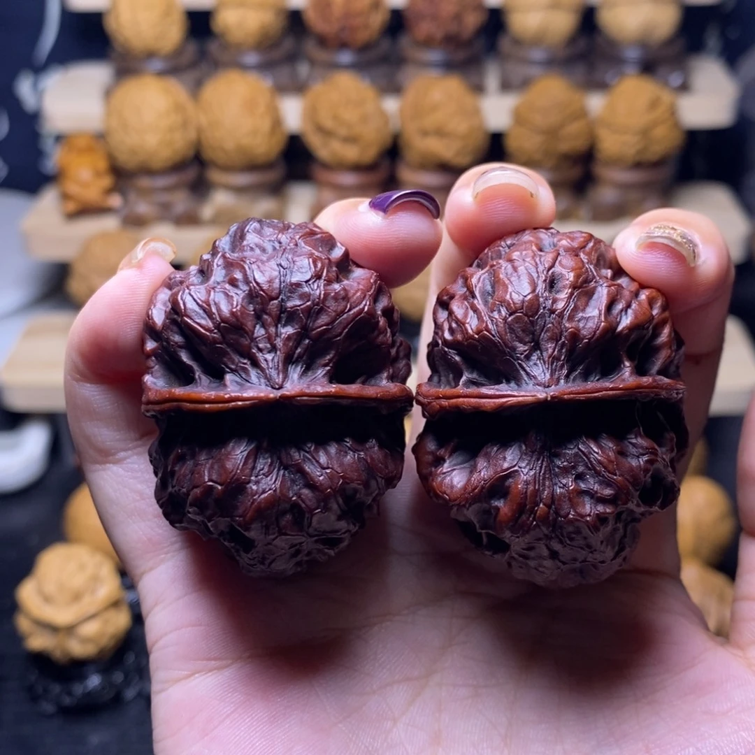 文玩核桃把件Z大飞蟾1……………