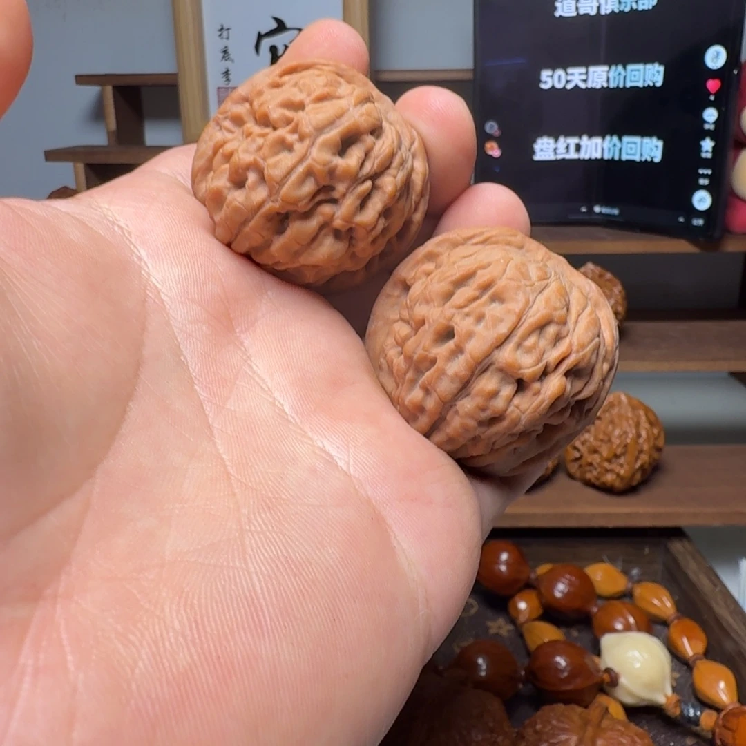 道哥俱乐部t莲花40