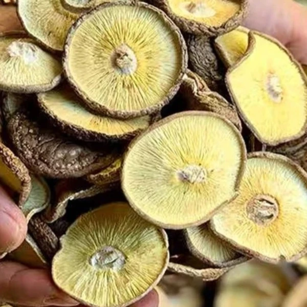 相信菇，香味浓郁，净重一斤，湖北随州老品种