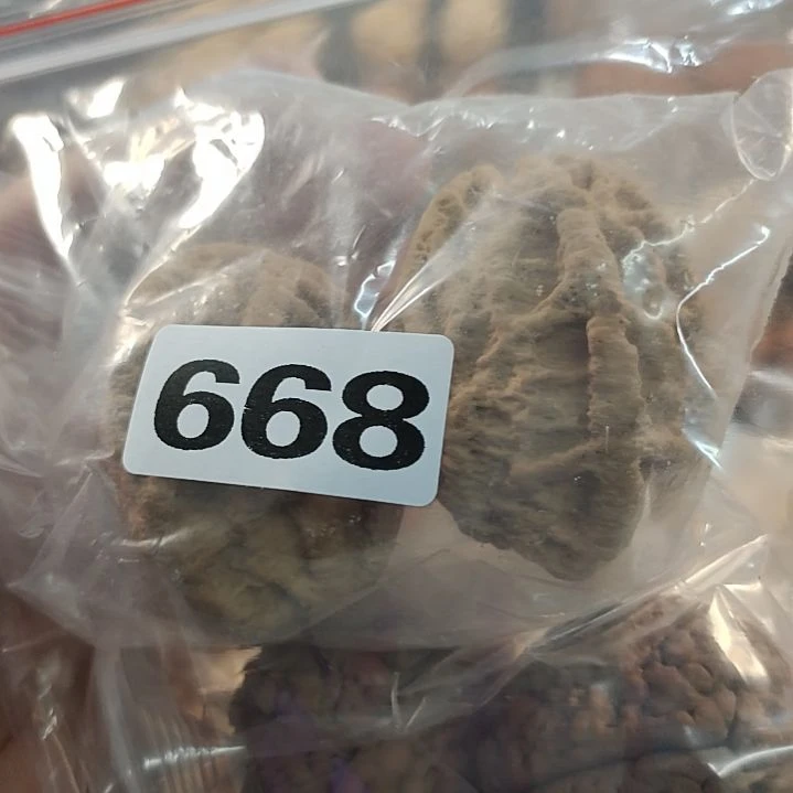 文玩核桃吊坠钱****好文玩核桃