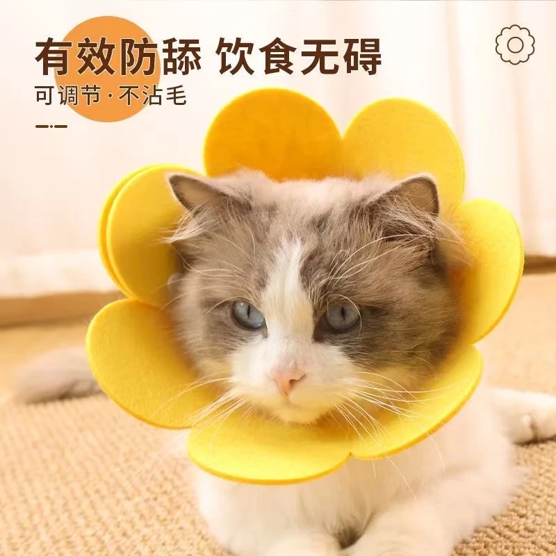 【郝评福利】宠物伊丽莎白圈防舔防咬防抓猫咪除藓绝育评价客服领取