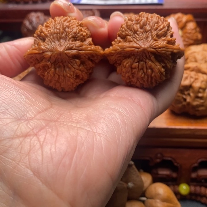 小***宁文玩核桃把件满天星