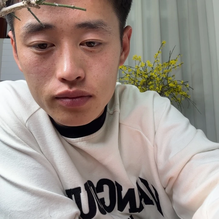 无***名盆盆盆景和花盆门呐好想