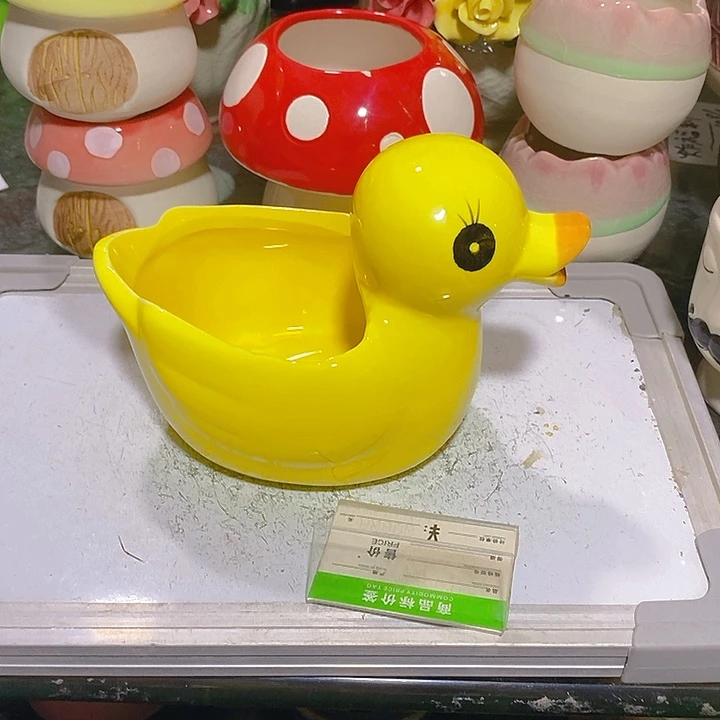 摆件多肉瑕疵盆有孔