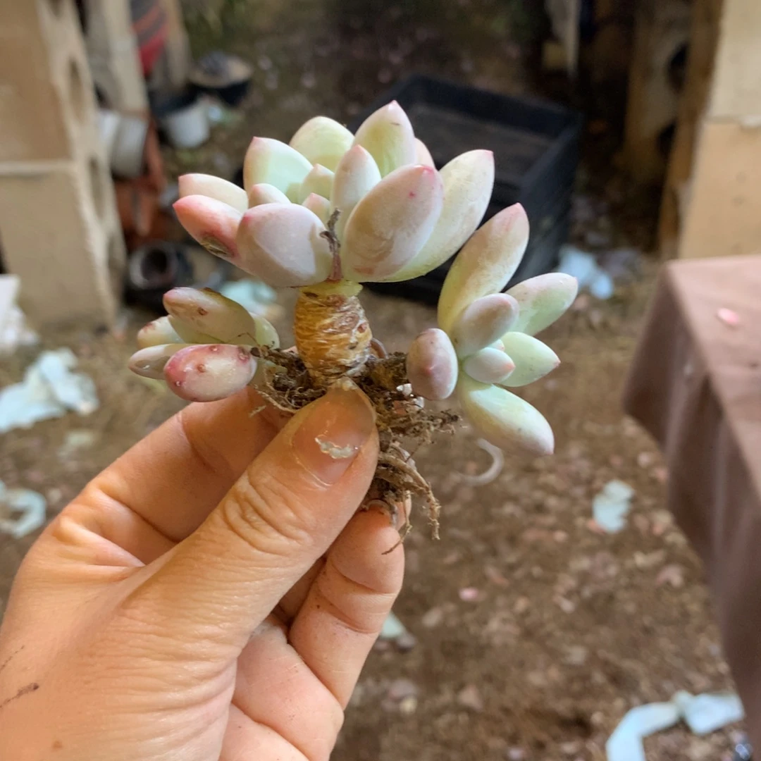 哈哈哈哈哈哈哈哈哈哈哈哈