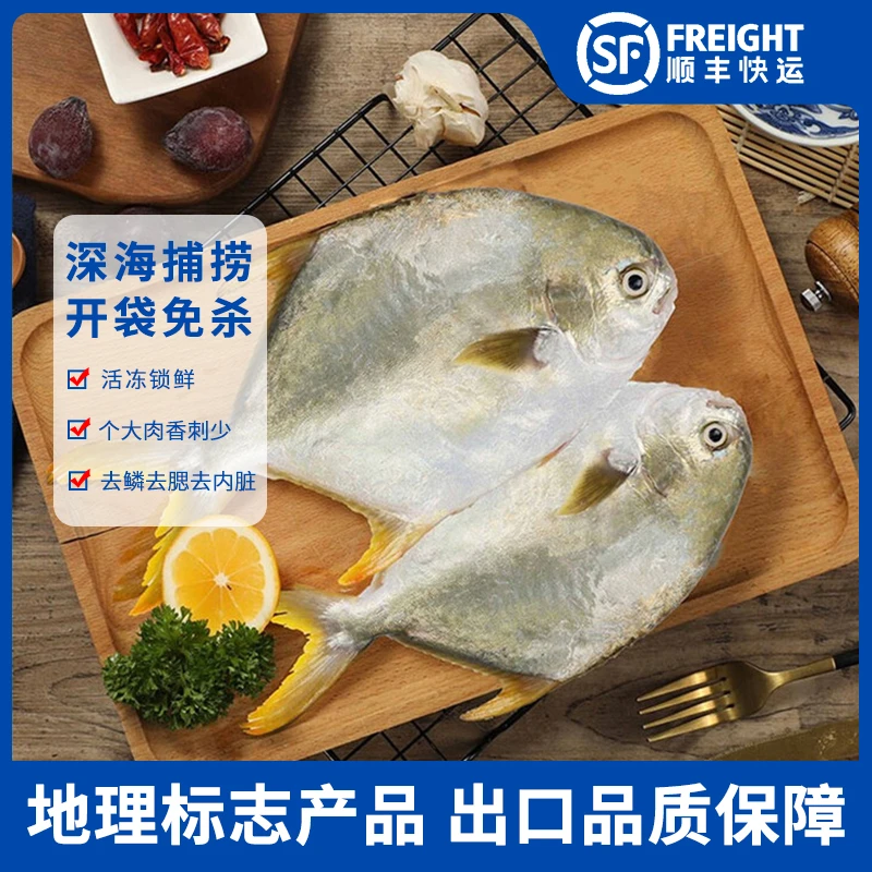 深海鲜美金鲳鱼三去 400-500g/条 *3 海鲜水产鱼类金鲳鱼