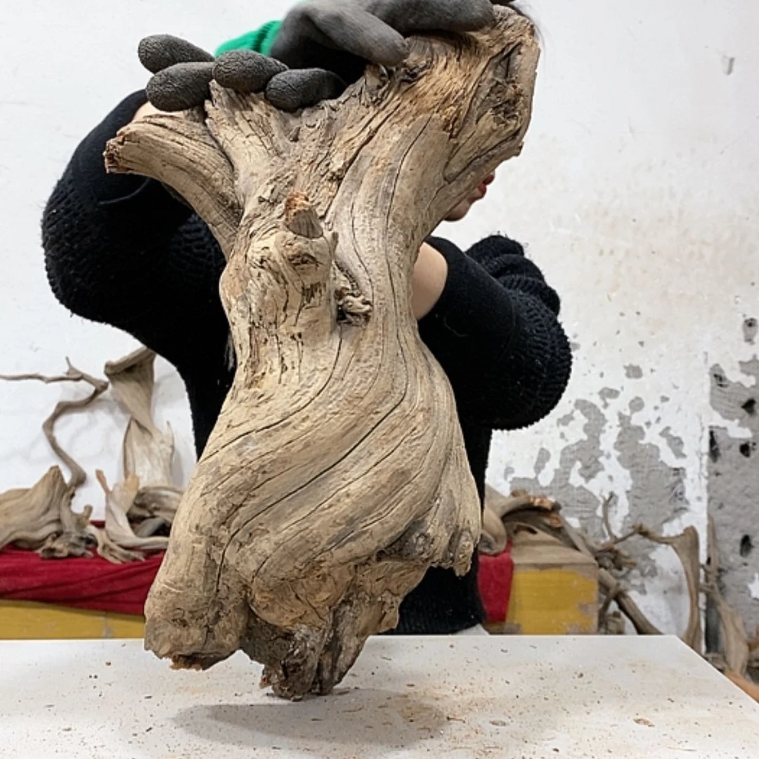 【闪购商品】柏木黄*毛我们都是好孩子