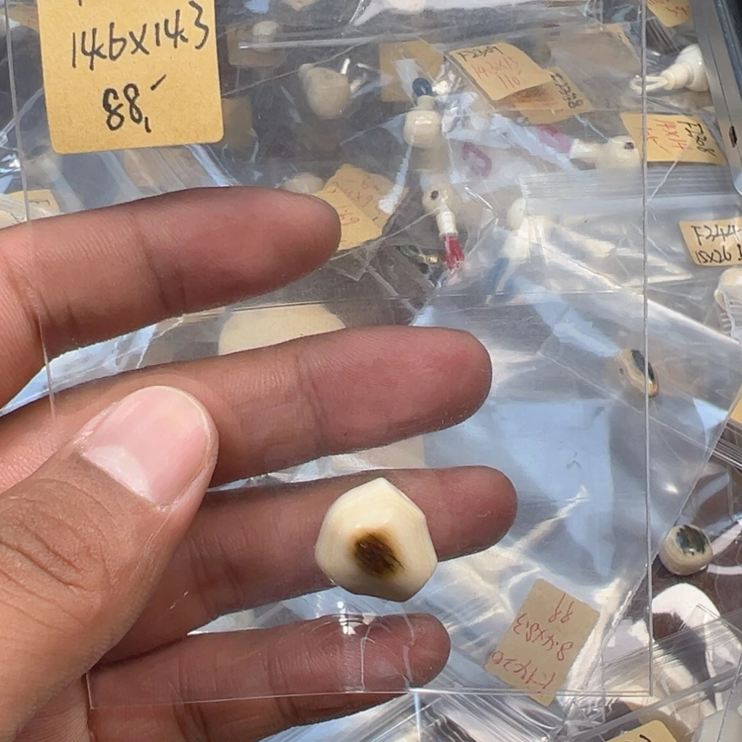 F505猛犸牙14.6鲨鱼呗