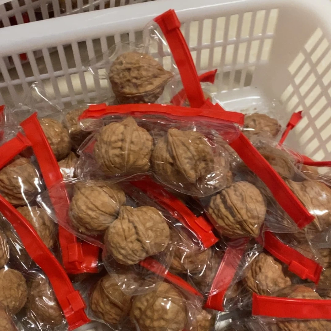 文玩核桃吊坠龟甲文