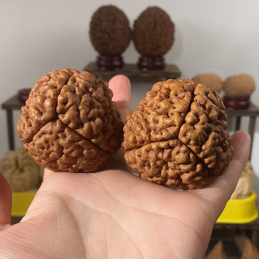 吊坠文玩核桃用****9三瓣脑纹金刚爆肉5257