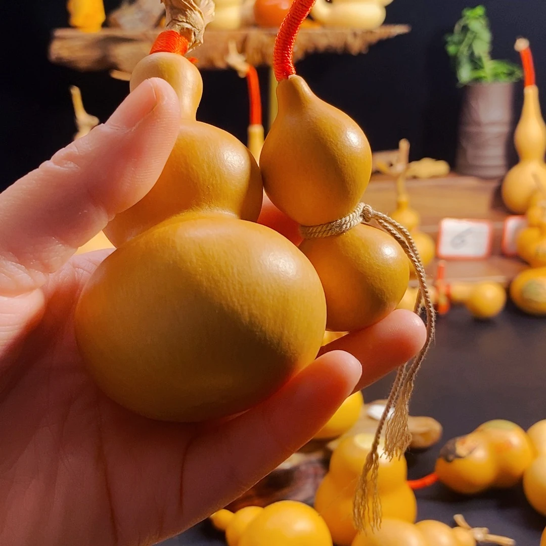 M****张葫芦葫芦葫芦葫芦