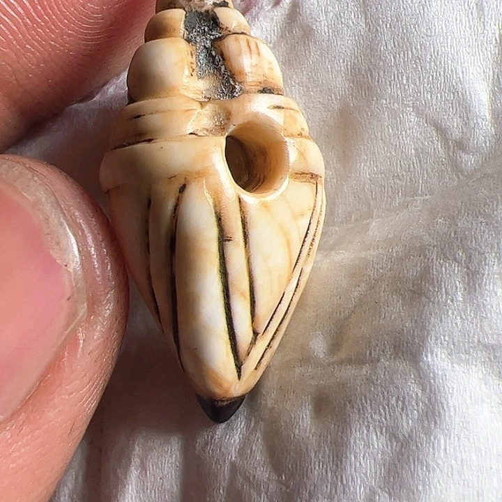 香榧木你的时候你