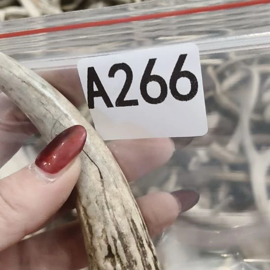 画***人鹿角鹿角鹿角鹿角鹿角