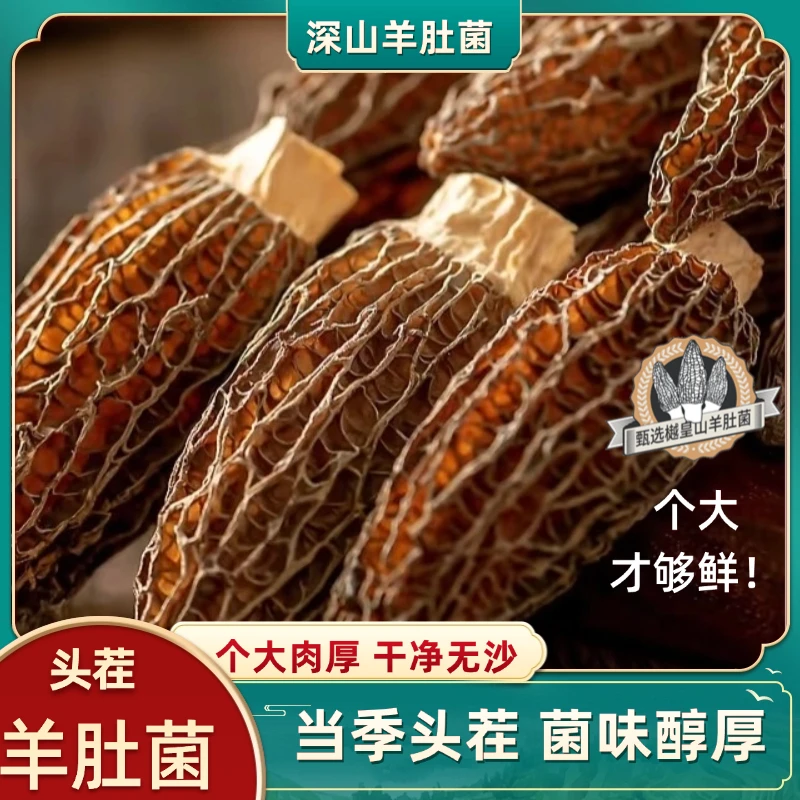 【精品头茬正宗羊肚菌】5-7公分六妹精品 肉质肥厚 煲汤羊肚菌干货