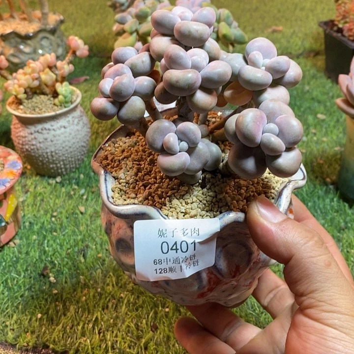 0401啊啊啊啊啊啊啊啊啊啊啊