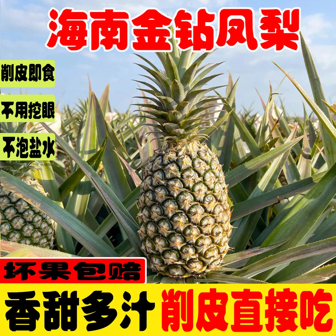海南金钻十七号凤梨自然成熟削皮即食新鲜应季水果香甜多汁产地