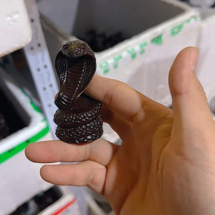 木黑檀木8金钱蛇一只