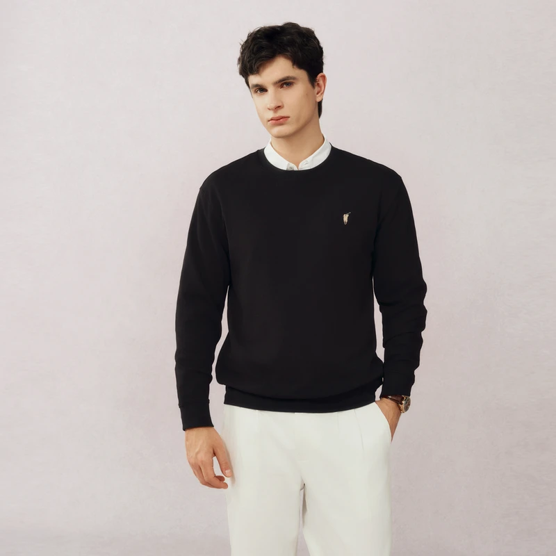 POLOWALK2025春季新品男式长袖T恤