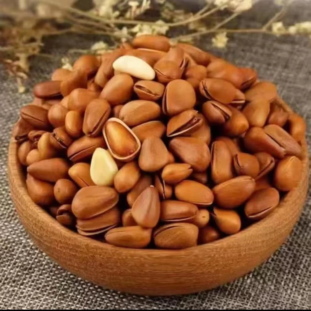 【陈郝精选】东北开口松籽