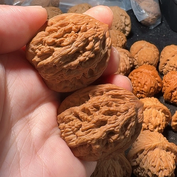福利，麦穗虎头，加关注。
