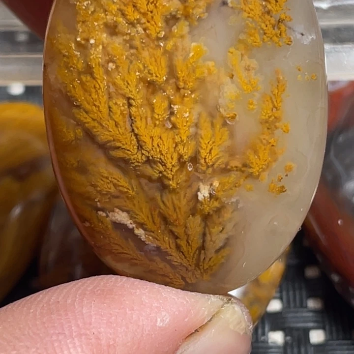 玛瑙/玉髓颈饰未镶嵌小****呀