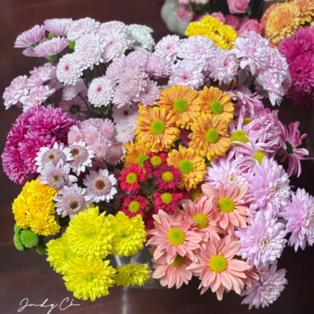 【小菊套餐】 鲜花/链接 拍下包邮，偏远补15元运费