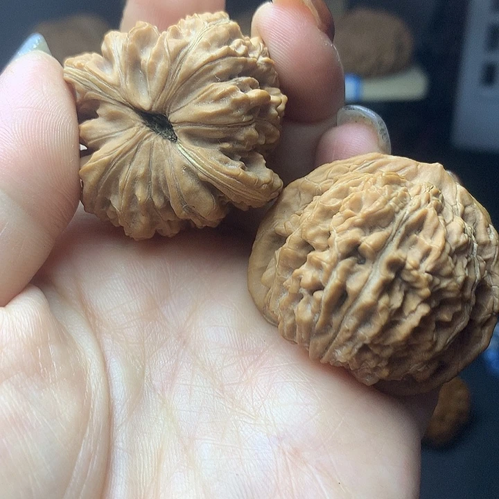 楼子222222222222222222222