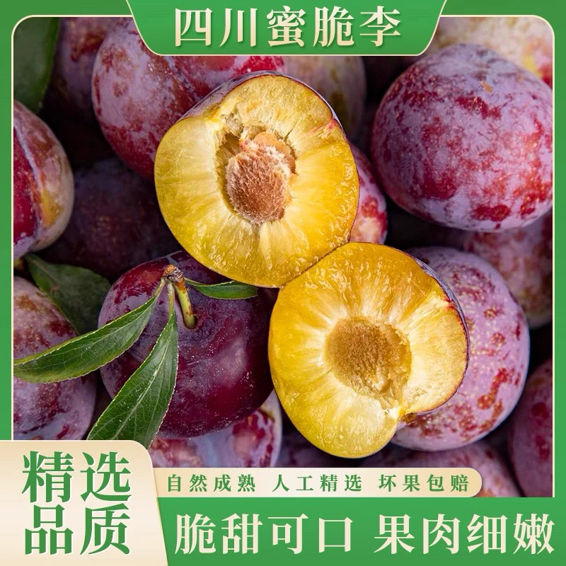 顺丰快递四川高山新鲜脆红李现摘现发脆甜多汁脱骨爽口当季水果