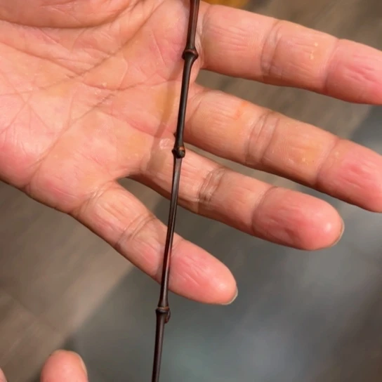 圆*茶拨山之地有个地方可以