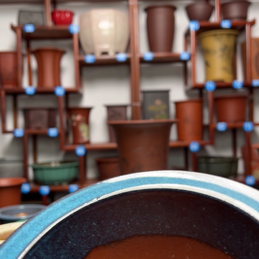 紫砂花盆用****5圆盆花盆