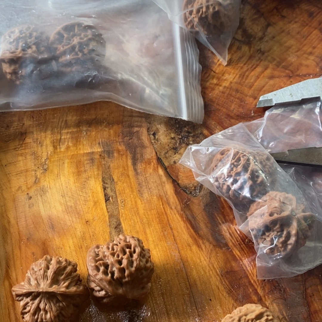 秦岭南风雨中漫步着自己