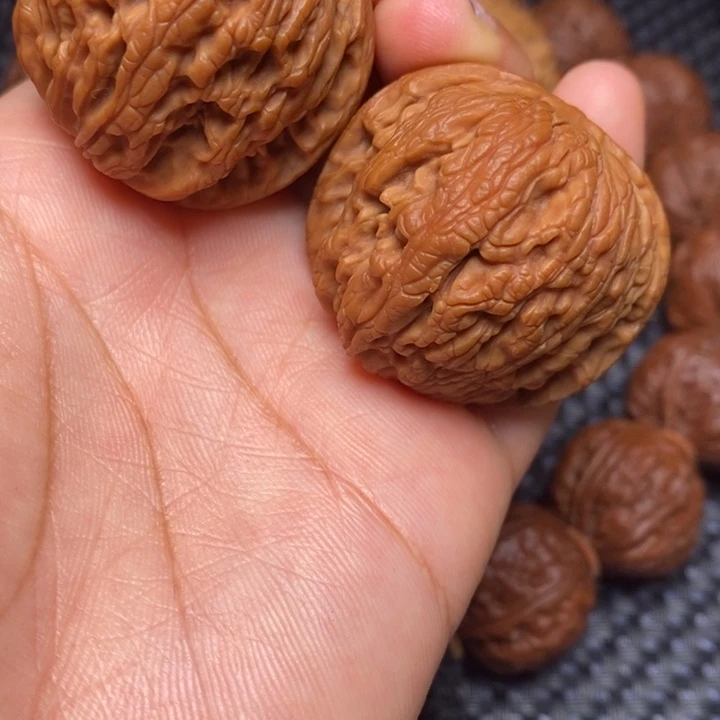 秦岭野生111111111111