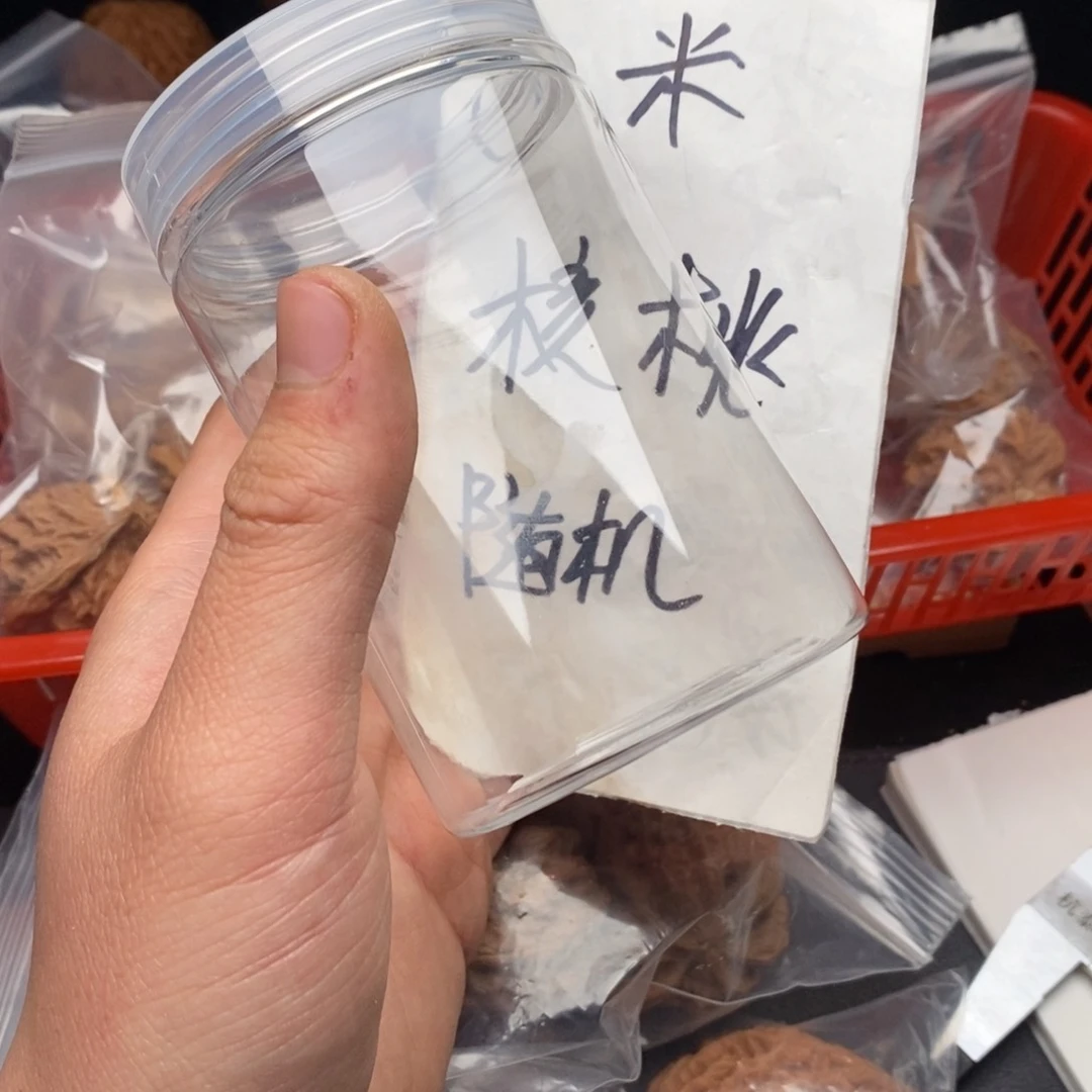 文玩核桃吊坠文玩管