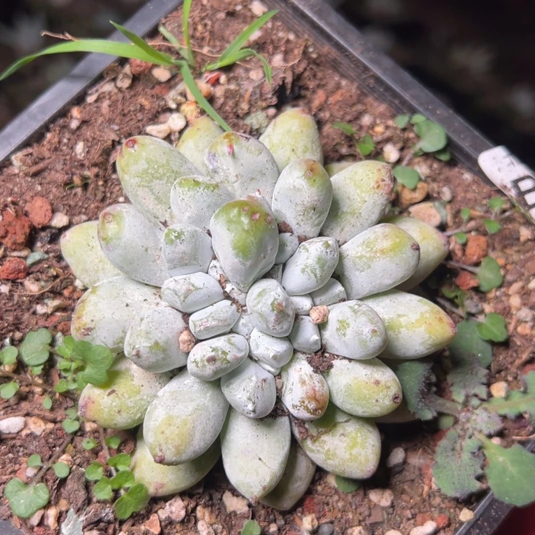 411哈哈哈哈哈哈哈哈