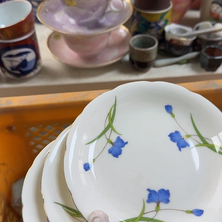 碟开播啦…开播啦